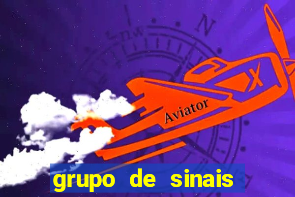 grupo de sinais fortune rabbit